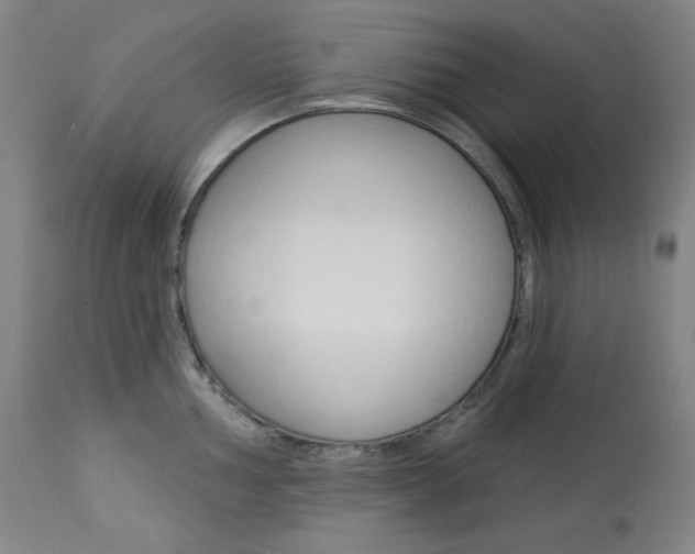 X0000114081002200910050955