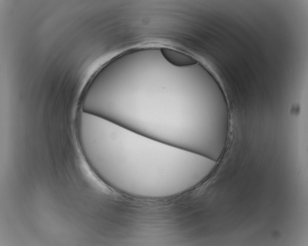 X0000114081003200910050955