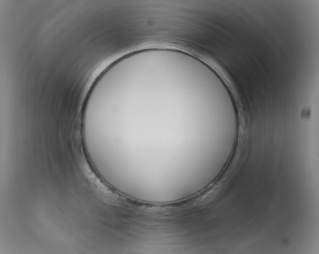 X0000114081004200910050955