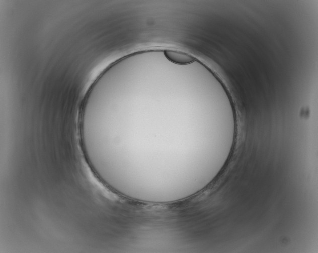 X0000114081006200910050955