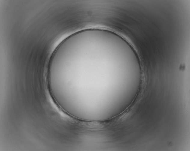 X0000114081007200910050955