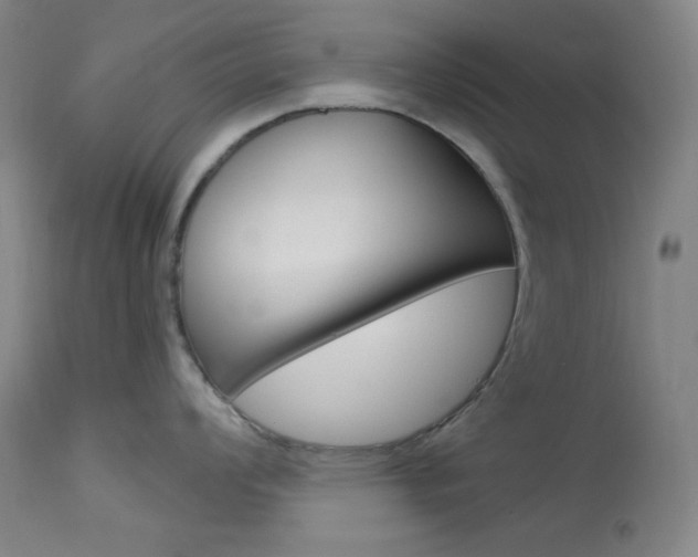 X0000114081008200910050955