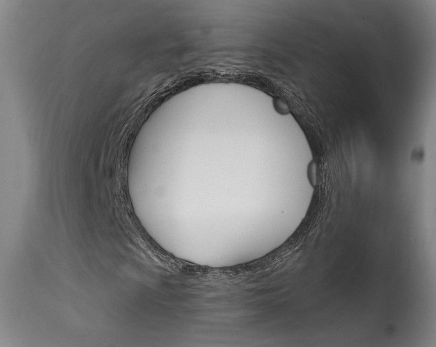 X0000114081009200910050954
