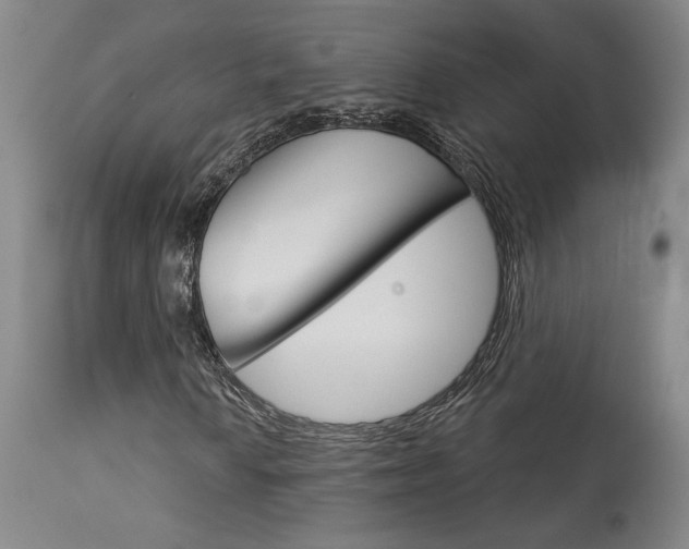 X0000114081010200910050954
