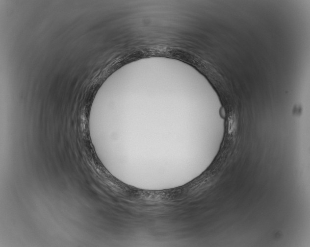 X0000114081011200910050954