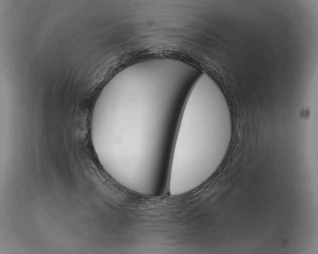 X0000114081012200910050954