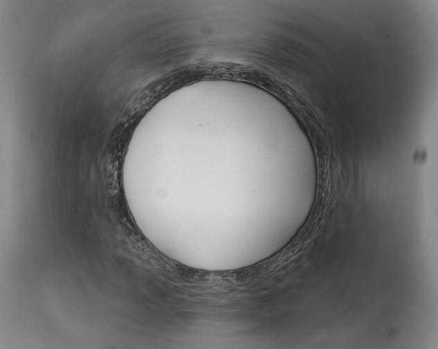 X0000114081013200910050954