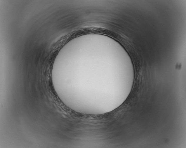 X0000114081014200910050954