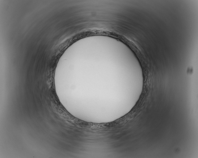 X0000114081015200910050954