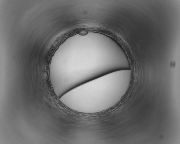 X0000114081016200910050954