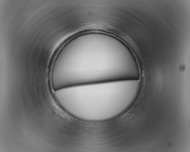 X0000114081020200910050954