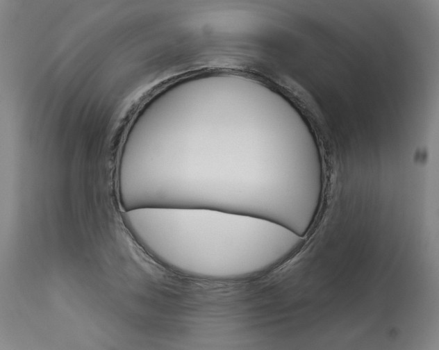 X0000114081027200910050955