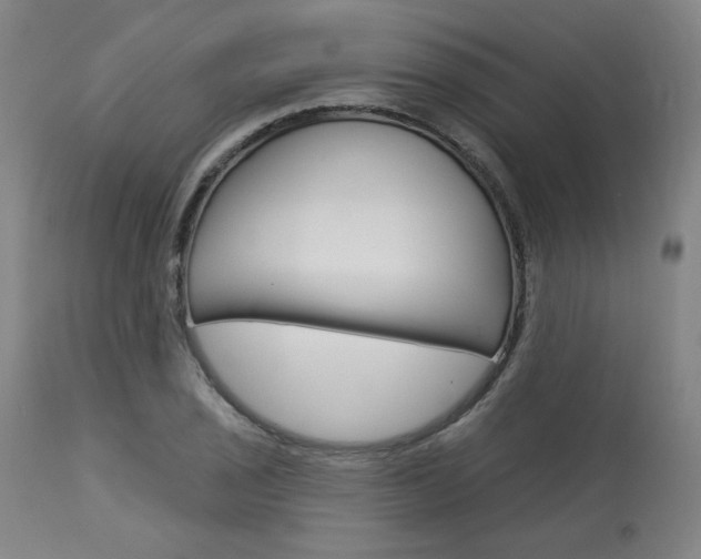 X0000114081029200910050955