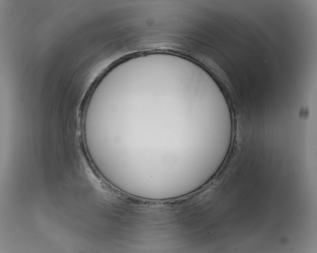 X0000114081031200910050955