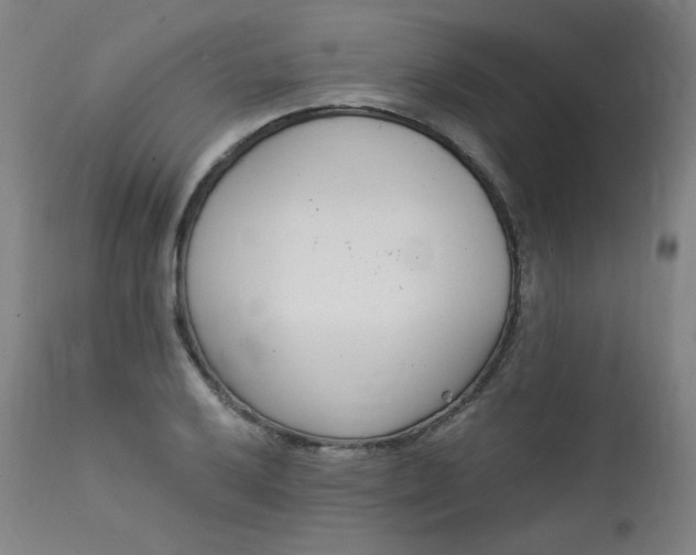 X0000114081032200910050955