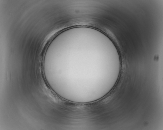 X0000114081035200910050955