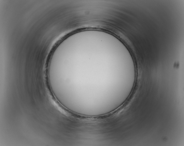X0000114081037200910050955