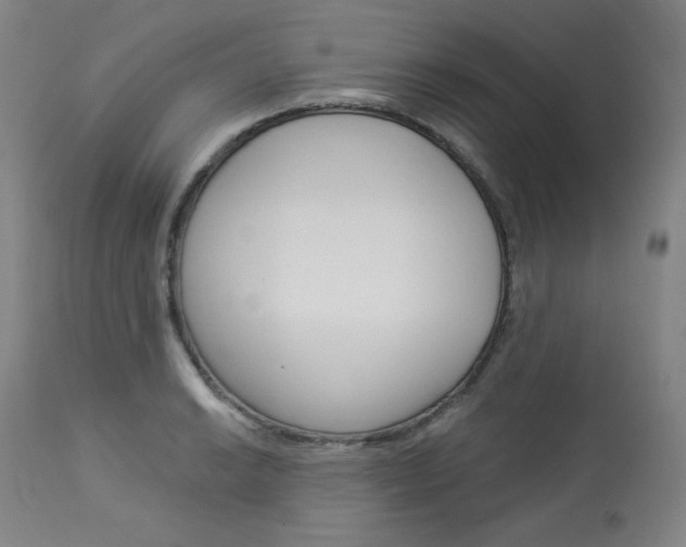 X0000114081038200910050955