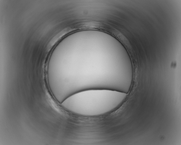 X0000114081039200910050955