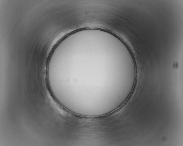 X0000114081040200910050955