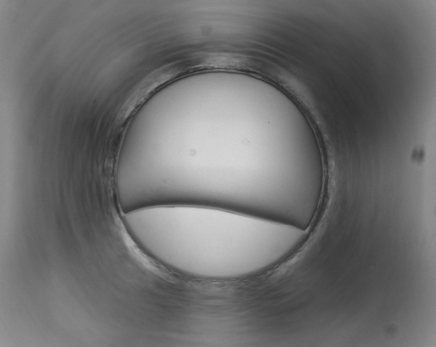X0000114081041200910050955