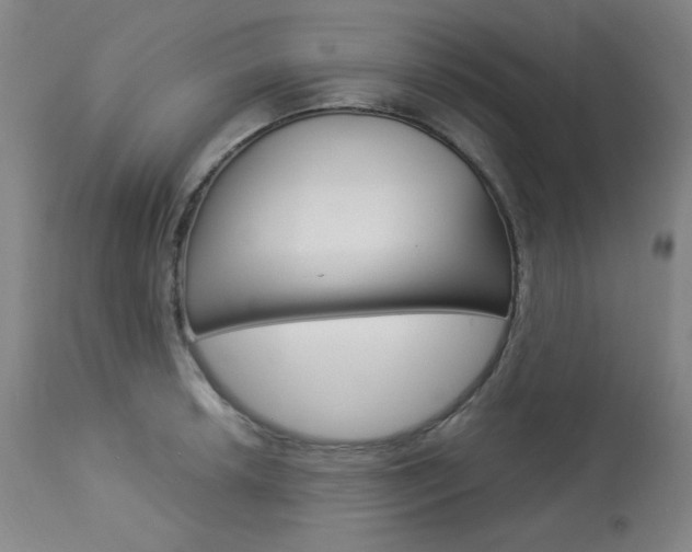 X0000114081042200910050955