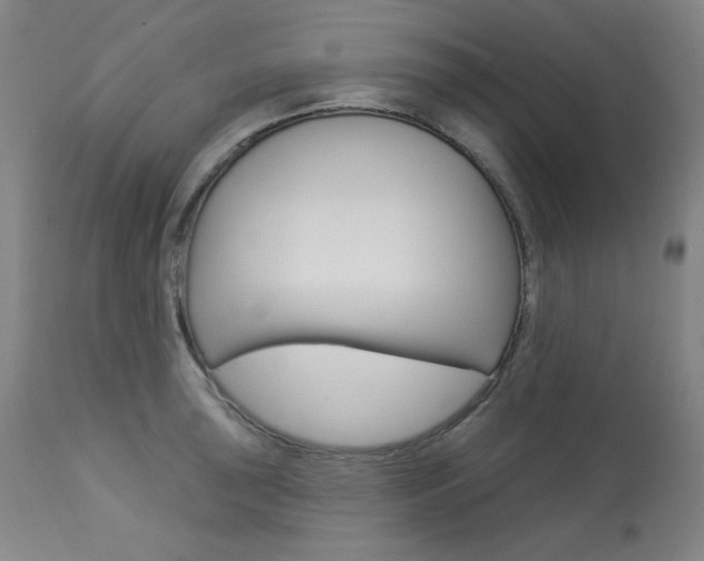 X0000114081043200910050955