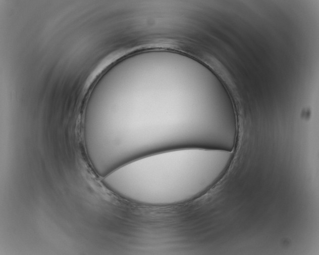 X0000114081044200910050955
