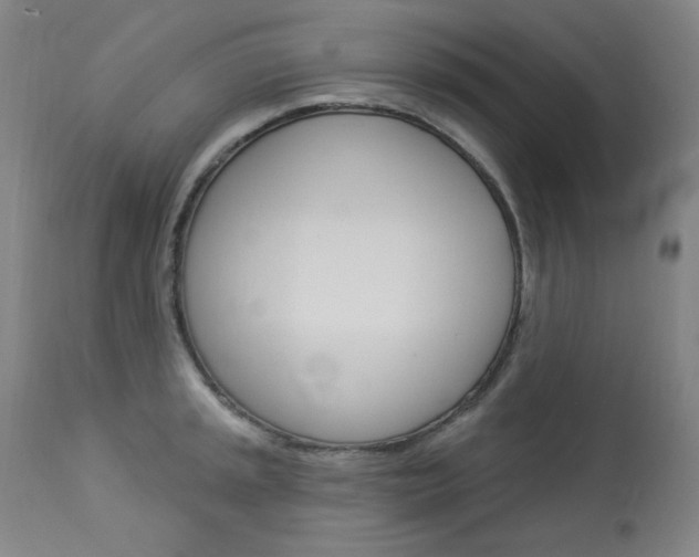 X0000114081045200910050955