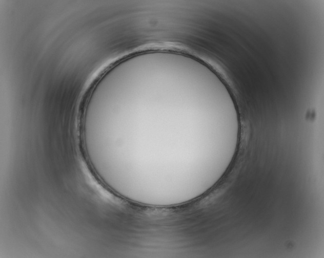 X0000114081046200910050955