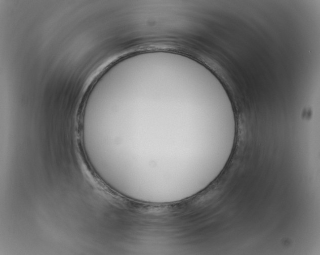 X0000114081047200910050955