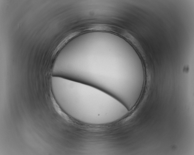 X0000114081049200910050955