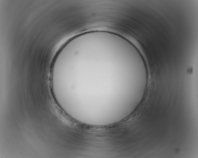 X0000114081051200910050955