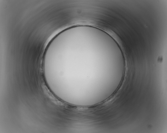 X0000114081052200910050955