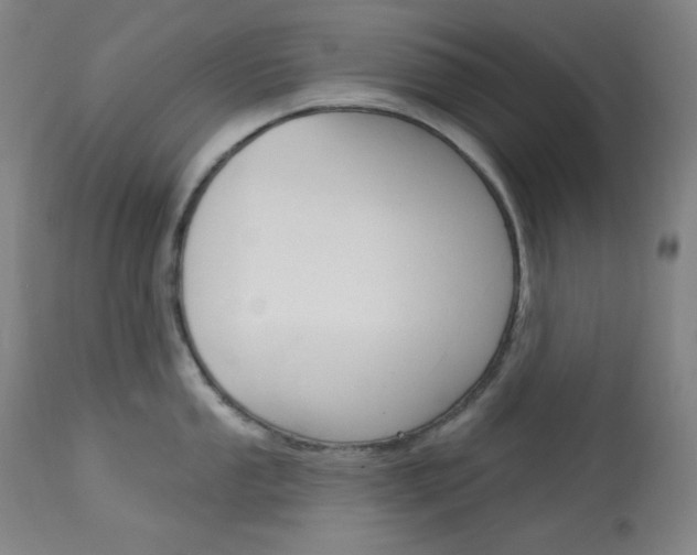 X0000114081053200910050955