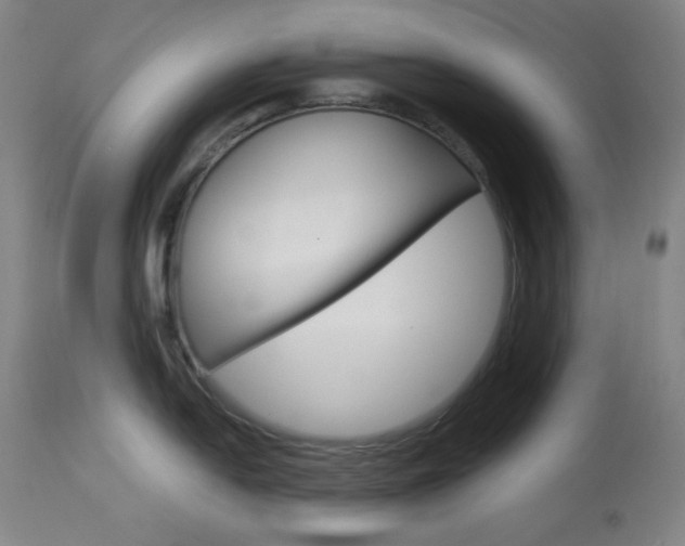 X0000114081054200910050955
