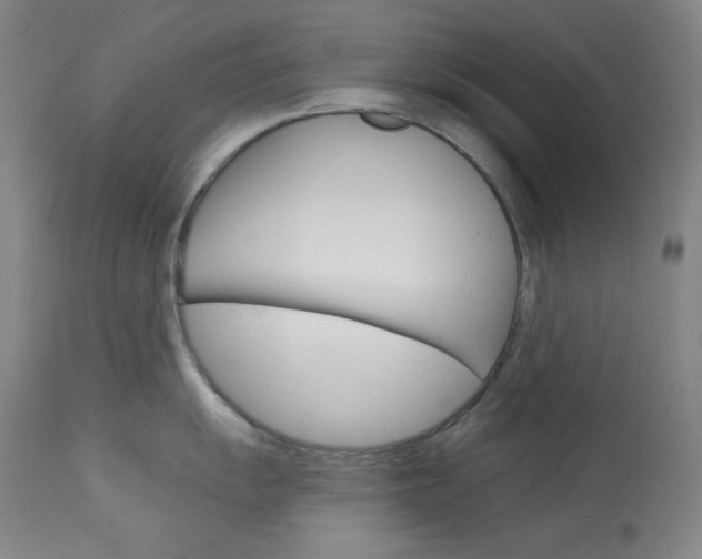X0000114081055200910050955