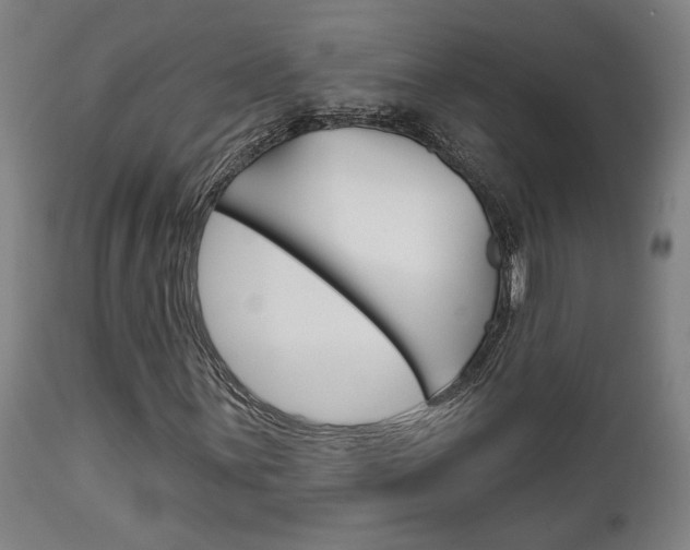 X0000114081059200910050954