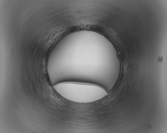 X0000114081060200910050954