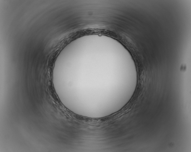 X0000114081062200910050954