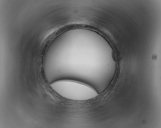 X0000114081064200910050954