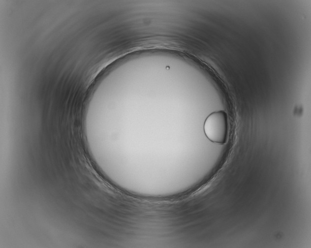 X0000114081065200910050954