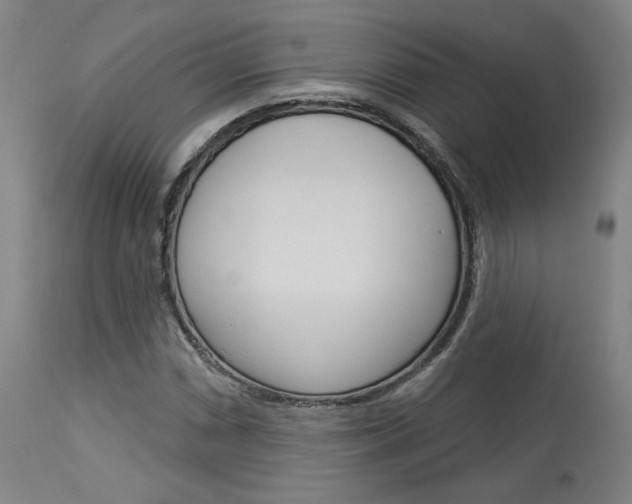 X0000114081066200910050954