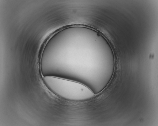 X0000114081072200910050954