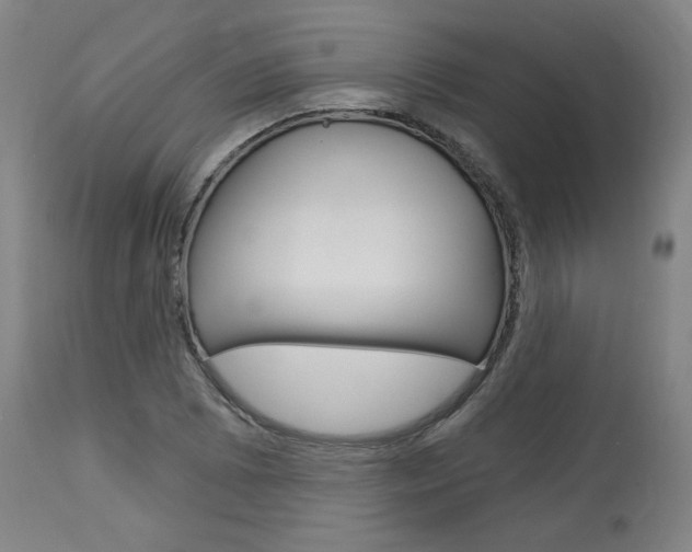 X0000114081073200910050954