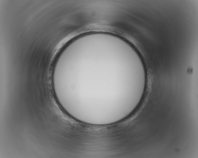 X0000114081074200910050954