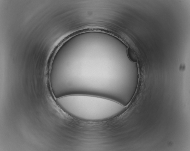 X0000114081076200910050954