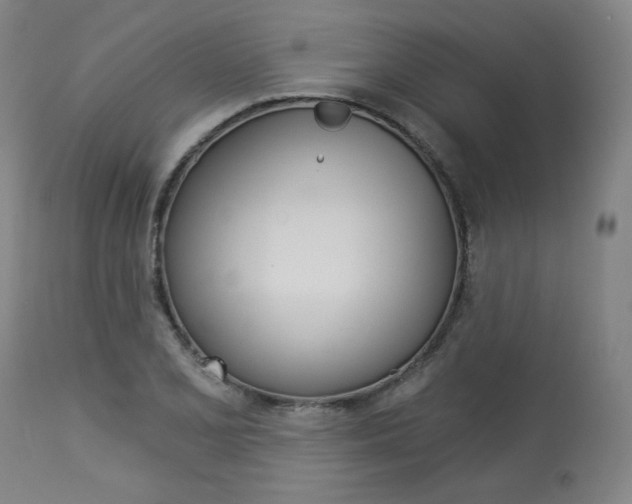 X0000114081077200910050954