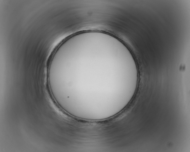 X0000114081079200910050954