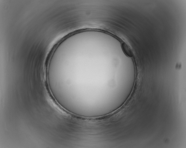 X0000114081080200910050954